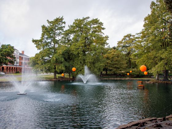 A view of Theta pond in the direction of the Greek neighborhood