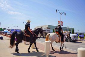 Special Olympics 2024 Horses