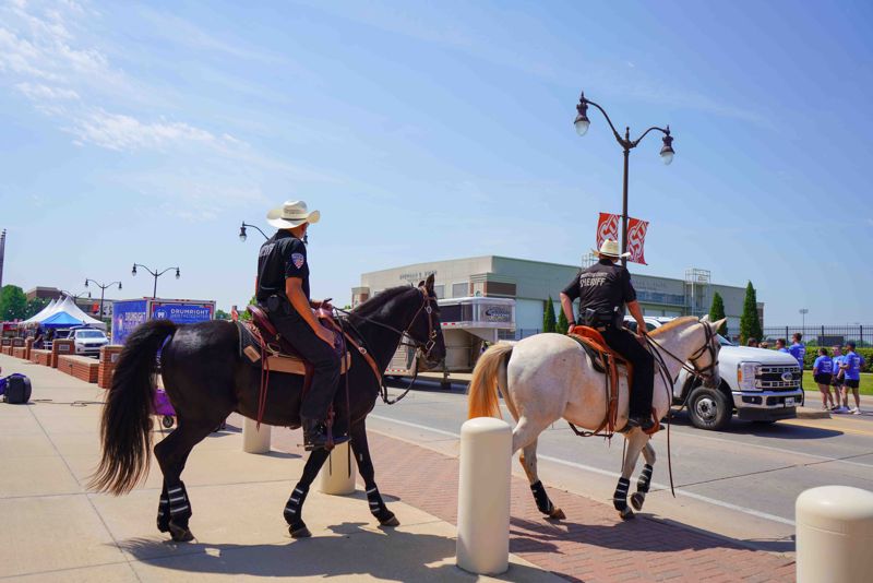 Special Olympics 2024 Horses