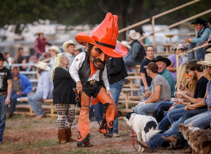 Pistol Pete at Cowboy Stampede Rodeo