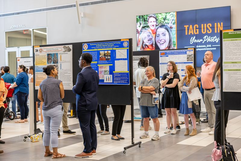 Attendees view the different posters and learn about what students researched in their projects. 