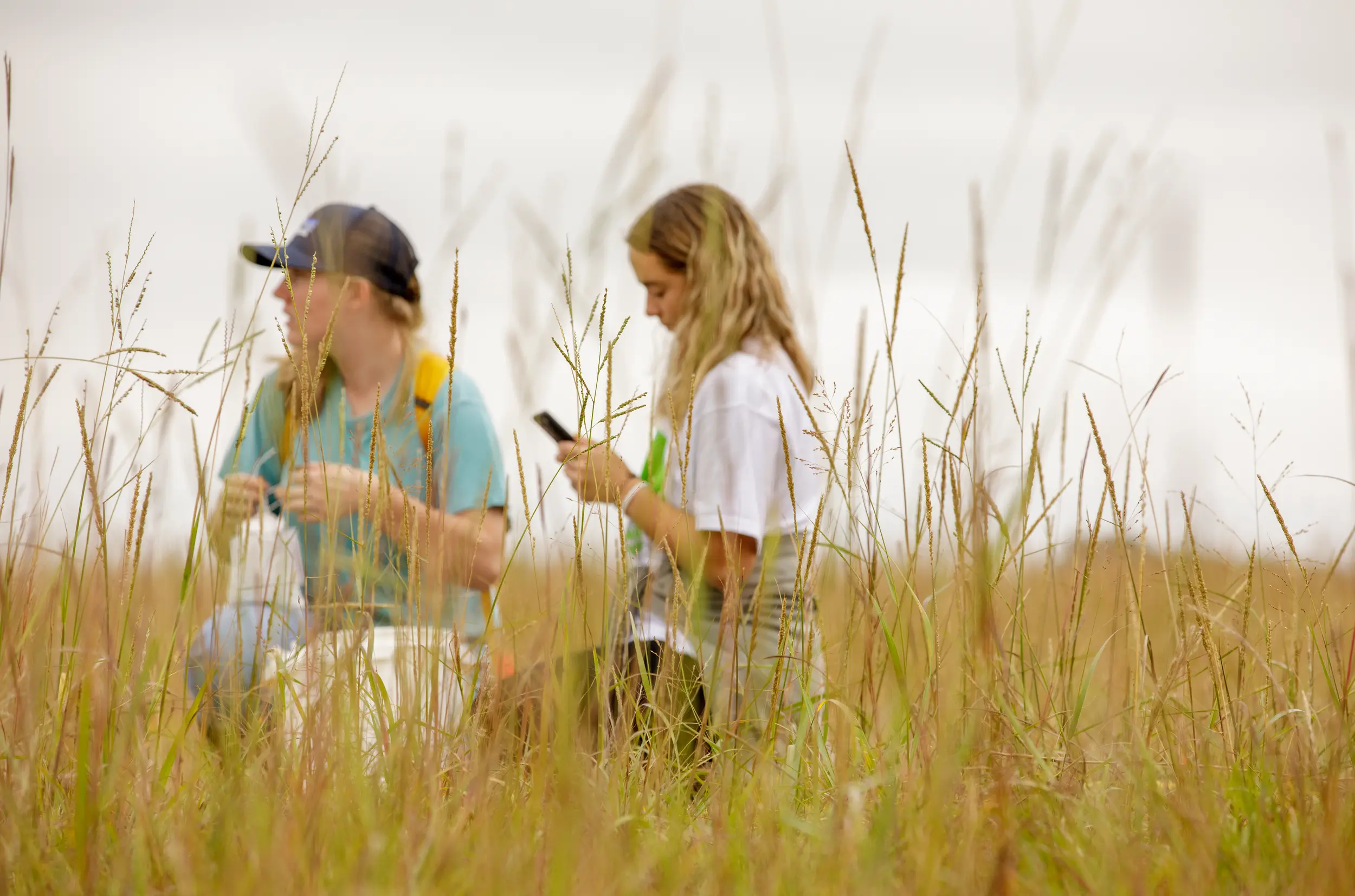 Students recording data in field.